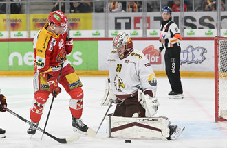 Gaëtan Haas et Robert Mayer