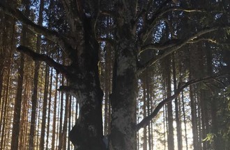 La photo gagnante du défi, choisie par Florence