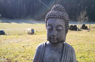 La photo gagnante du défi