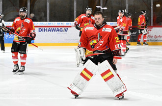 Robin Terrier