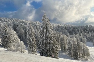 Photo du défi