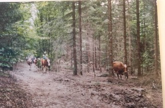Photo du défi