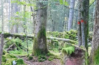 Photo du défi