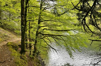Photo du défi