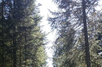 Photo du défi
