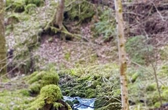 Photo du défi