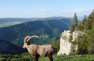 Photo du défi