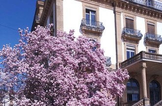 Photo du défi