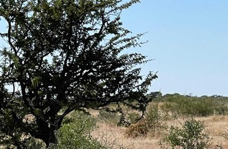 Photo du défi