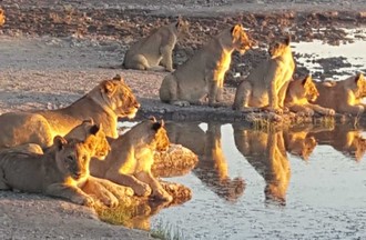 La photo gagnante du défi choisie par Jean-Pierre