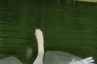 Photo du défi