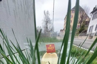 Photo du défi