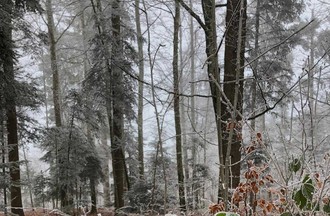 Photo du défi