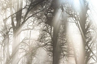 Photo du défi