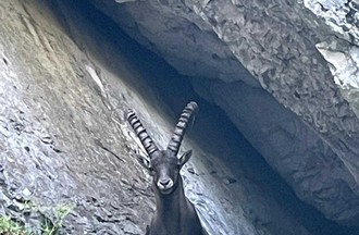 Photo du défi