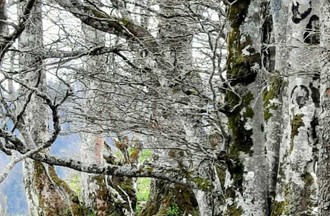 Photo du défi