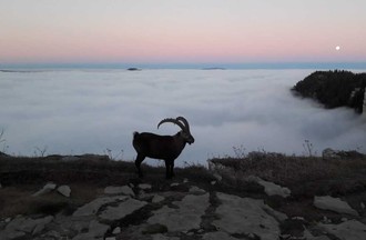 Photo du défi