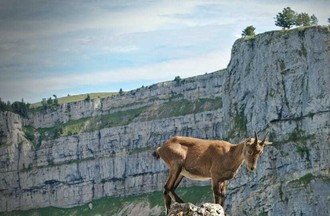 La photo gagnante choisie Pierre