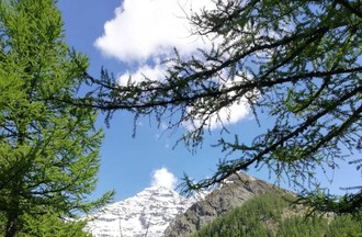 La photo gagnante du défi