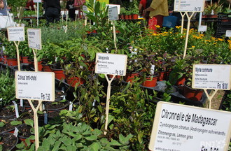 Journées des plantes Vaumarcus
