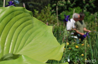 Journées des plantes Vaumarcus