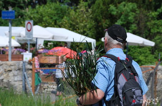Journées des plantes Vaumarcus