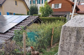 Photo du défi