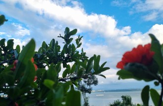 Les photos du défi sur le thème le lac