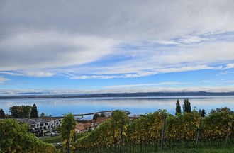 Photo du défi