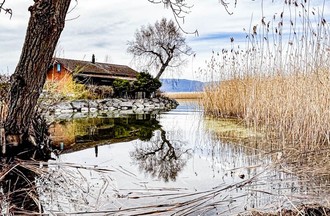 Photo du défi
