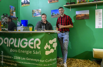 Description de l'image