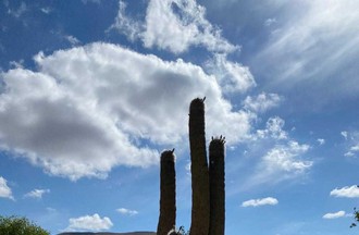 Photo d'une auditrice Humahuaca