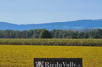 Photo du défi
