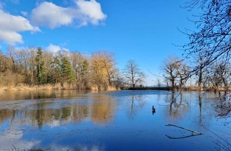 Photo du défi