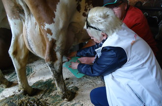C'est plus facile de parler dans un micro que de traire une vache