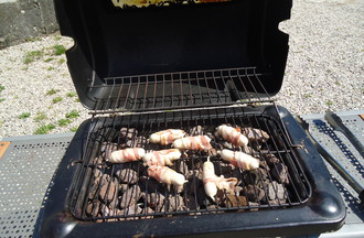 Nous devions faire des grillages