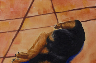 Le chien Léo