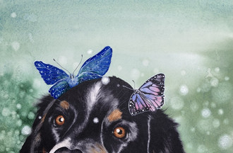 Le chien Shadow