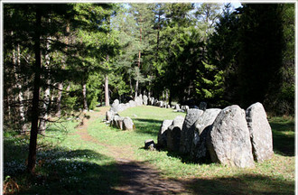 Les photos de Marc sur l'île de Gotland