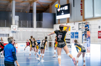 Lisa Alessi au service