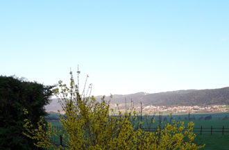Concours photo printemps RTN
