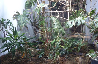 LE TERRARIUM CARLITOS
