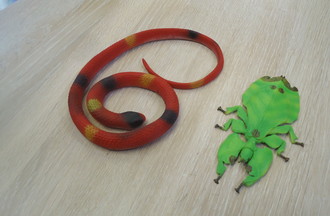 UN SERPENT CORAIL ET UN PHASME A FEUILLE
