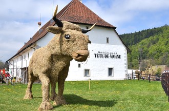 Fête de la tête de moine
