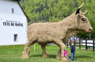 Fête de la tête de moine