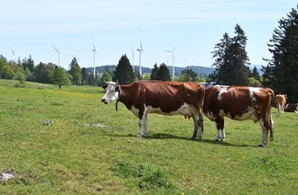  Portes ouvertes à Mont Soleil