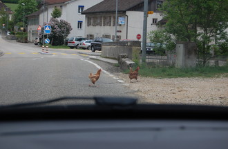 Tournée de la fête des mères