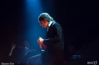 508492.jpg