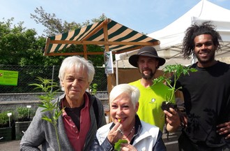  Dégustation de plantes