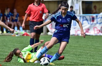 Description de l'image